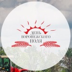 Новинки бренда DIFA на Дне Воронежского поля